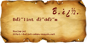 Bálint Ádám névjegykártya